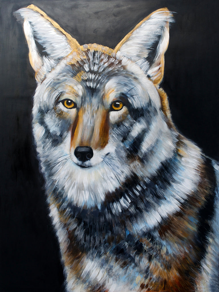 Coyote 2023