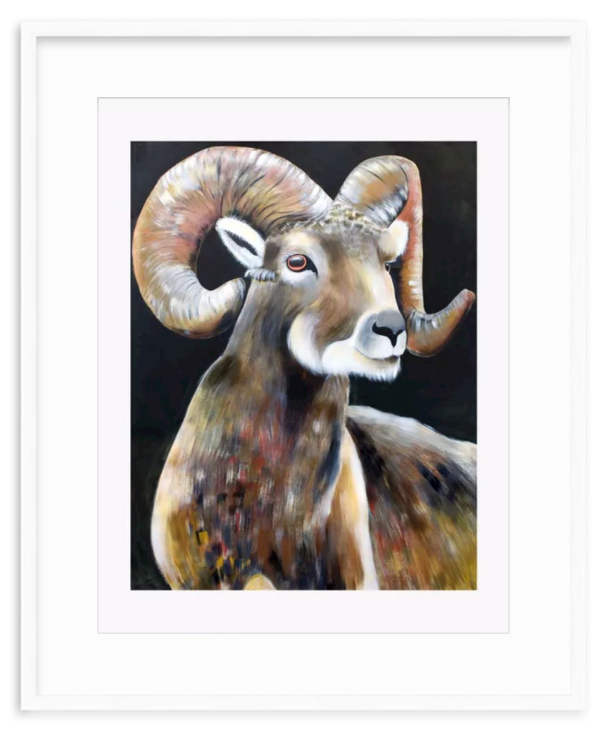 Big Horned Sheep Print