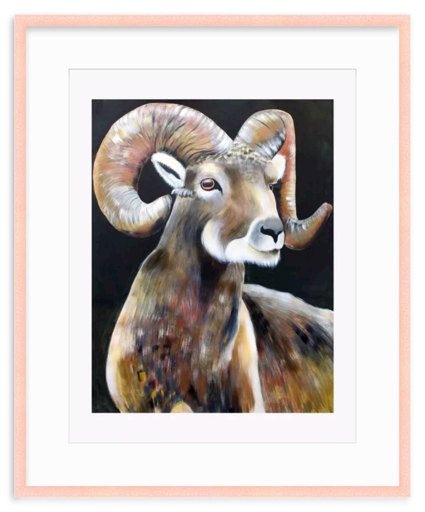 Big Horned Sheep Print