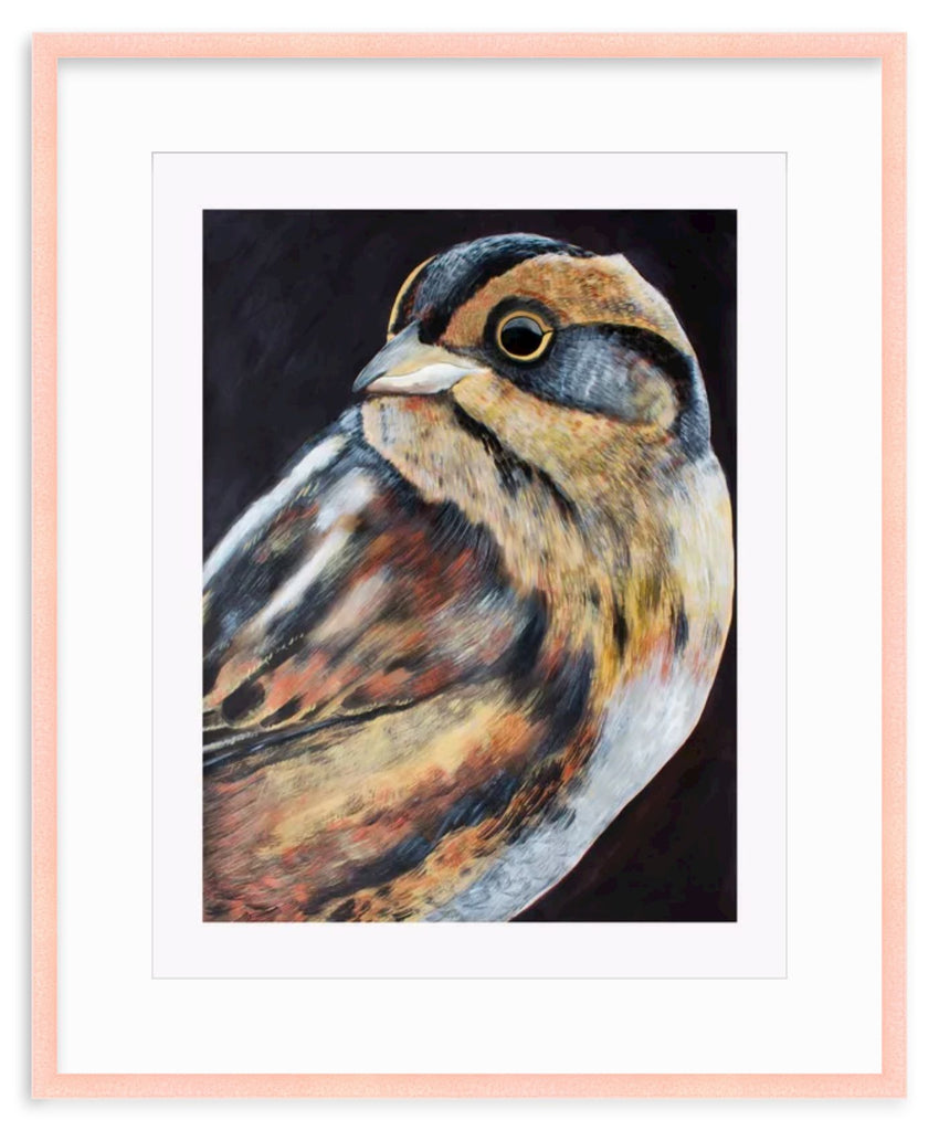 Sparrow 2016 Print