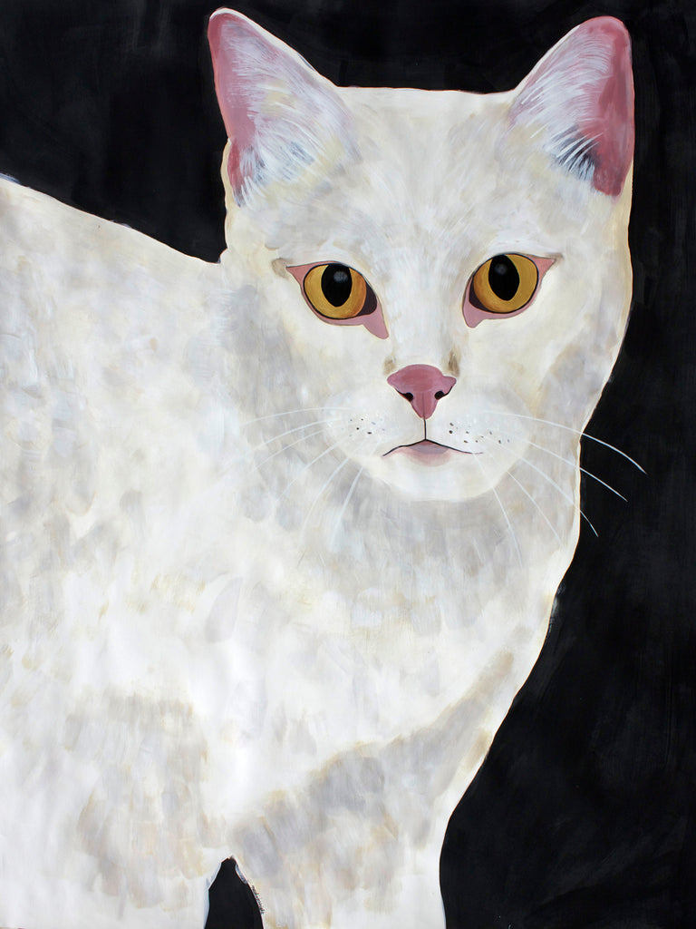 Original White Cat